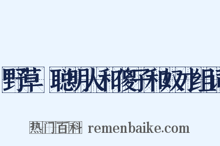 野草·聪明人和傻子和奴才组词是什么意思的图片